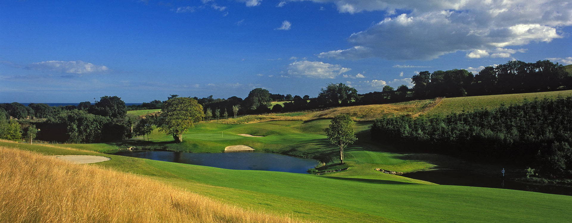 Druids Heath