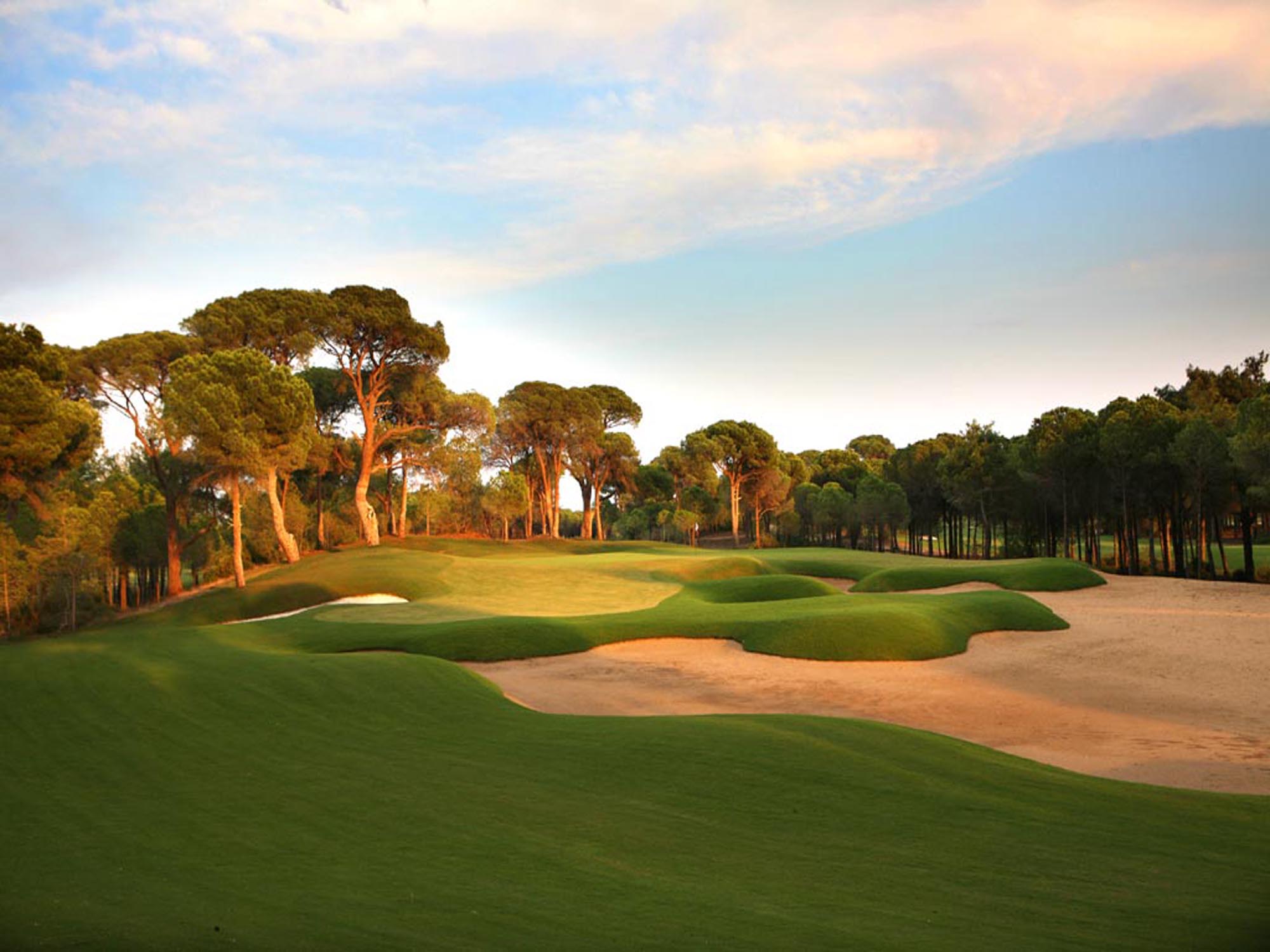 Montgomerie Course 