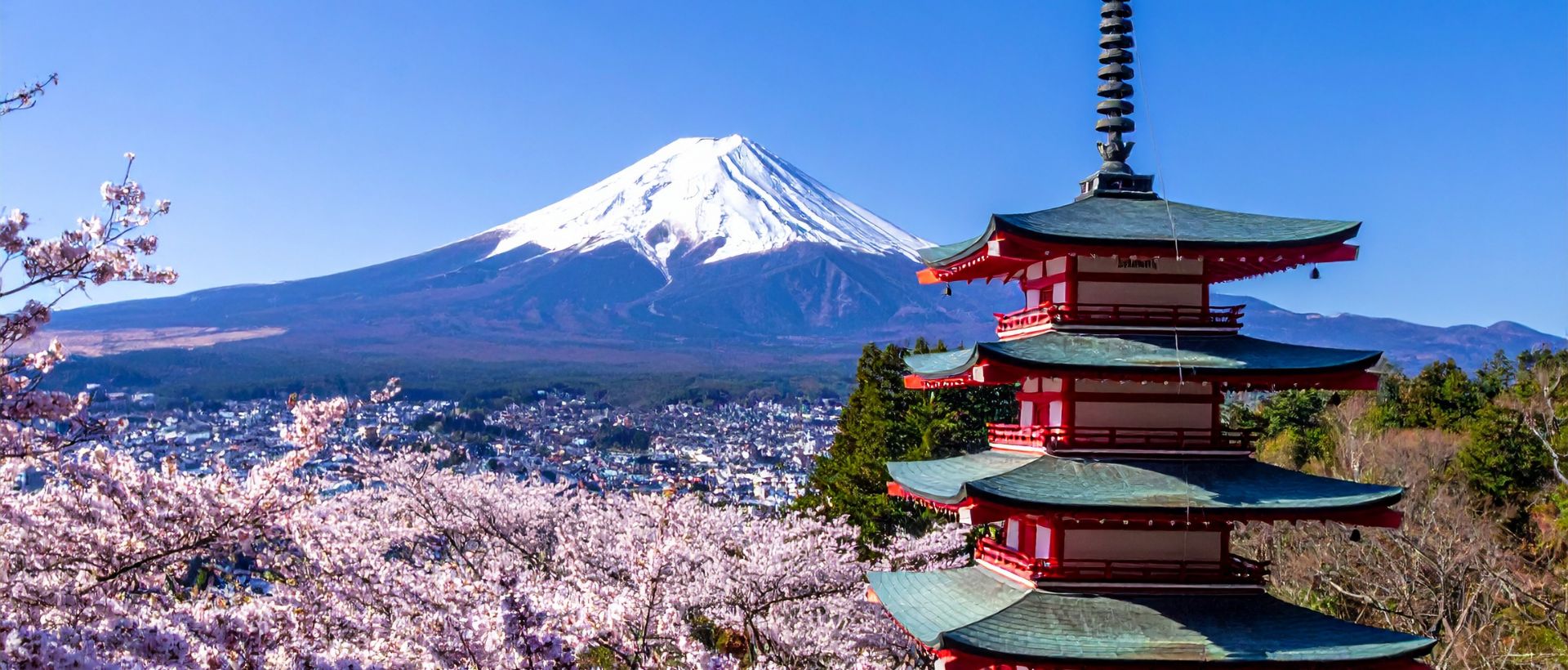 JAPONIA - Golf & Kultura 2026