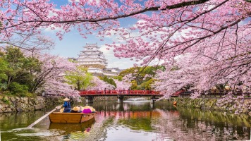 Japonia 2025 - Golf i Kultura